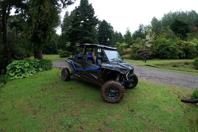Exclusive Private Buggy Adventure: Forest and Mountains - Who Will Love This Tour?