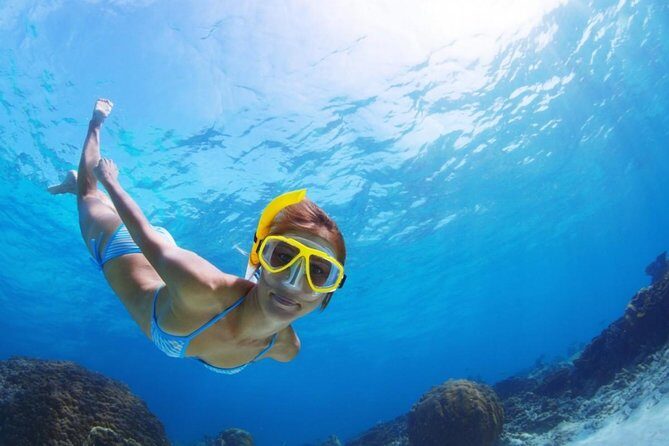 Exclusive Snorkeling Trip Guided by Marine Biology Specialist - Final Thoughts: Is This Tour for You?