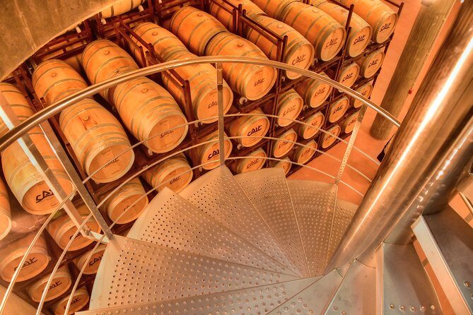 Exclusive tour: Ribera del Duero "like a native", with lamb in a wood oven - A Deep Dive into the Ribera del Duero Tour Experience
