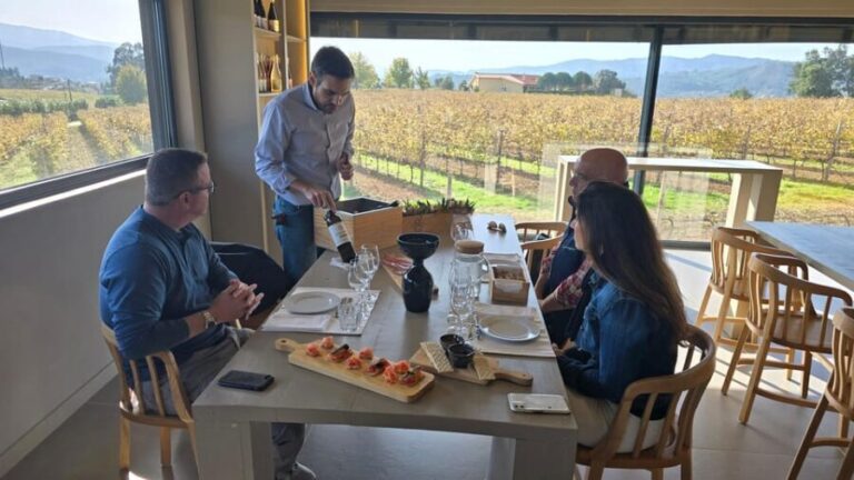 Exclusive Vinho Verde (Green Wine) experience & lunch - A Deep Dive into the Vinho Verde Private Tour