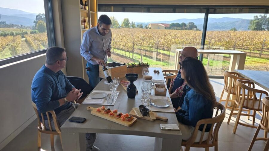 Exclusive Vinho Verde (Green Wine) experience & lunch - A Deep Dive into the Vinho Verde Private Tour