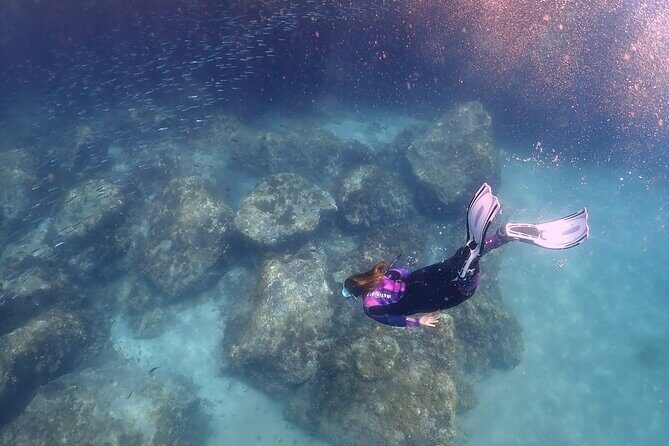 Experience Snorkelling in Puerto Del Carmen, Lanzarote - A Deep Dive into the Snorkelling Tour