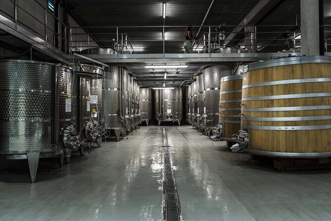 EXPLORATION - Visit of the estate, the cellars & tasting - Who Should Consider This Tour?