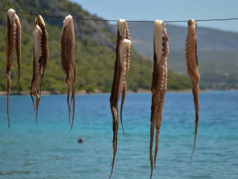 Explore Loutraki & Lake Vouliagmeni: Nature and Relaxation - Value and Practical Considerations