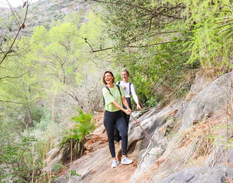 Explore Marbella's Nature: Guided Hiking And Foraging Trip - An In-Depth Look at the Marbella Hiking and Foraging Tour