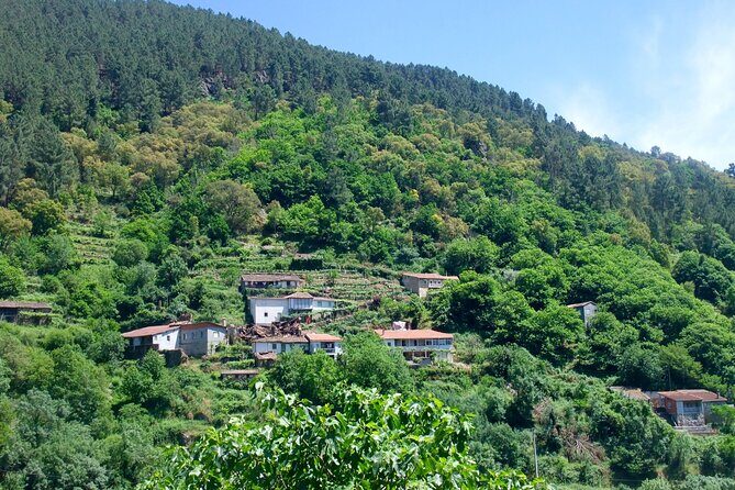 Explore Ribeira Sacra by Boat: Unique Excursion from Santiago - Frequently Asked Questions