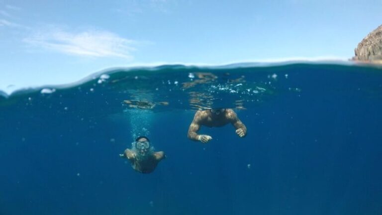 Explore Tenerife with the Snorkel Kit - What to Expect on the Day