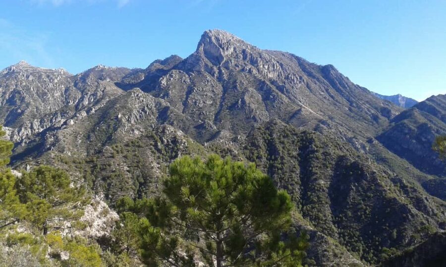 Explore the Nerja National Park nature in our open-top jeeps - Final Thoughts