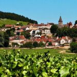 Exquisite Wines Tasting Chateau Pommard, Chablis Small-Group Trip - A Deep Dive Into the Burgundy Wine Tour