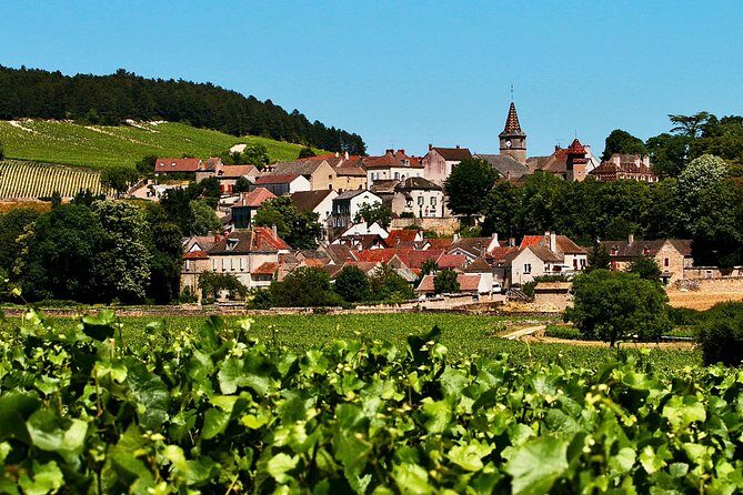 Exquisite Wines Tasting Chateau Pommard, Chablis Small-Group Trip - A Deep Dive Into the Burgundy Wine Tour