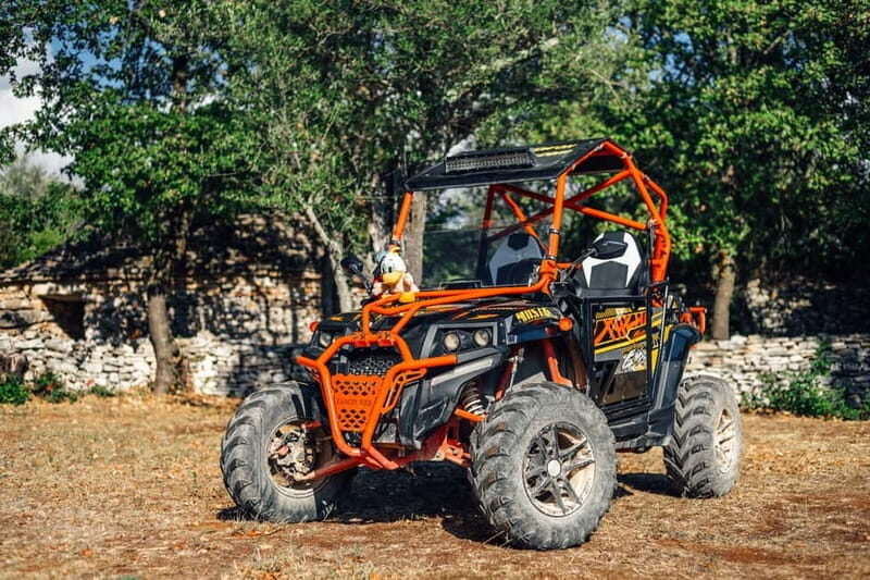 Faana: Guided Buggy Tour in the Heart of Istria - Value and Practical Considerations