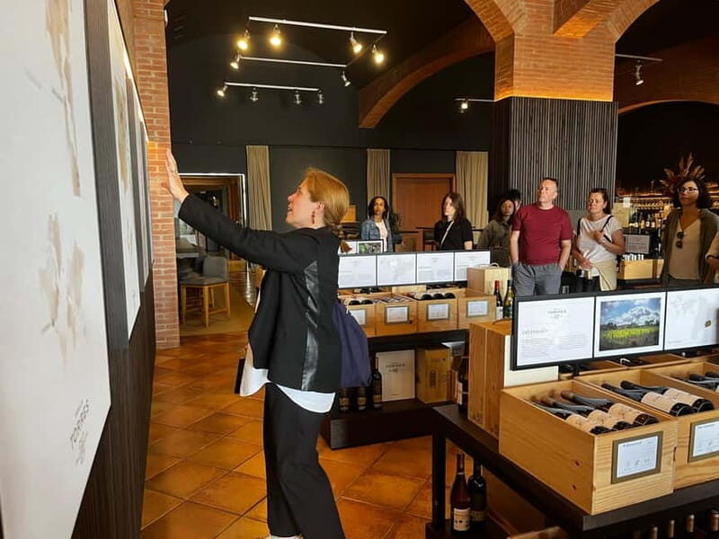 Familia Torres Winery: Gastronomic Tapas & Wine Experience - Why This Tour Offers Great Value