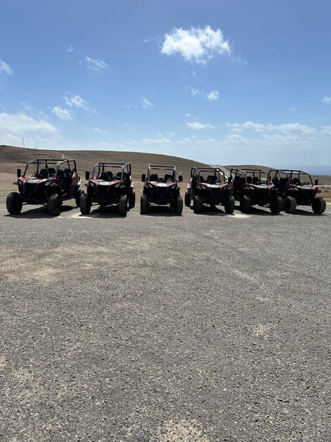 Family buggy - 4 seats, on road tour - Why Choose This Experience?