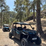 FAMILY FUN MONSTER BUGGY TOUR - Who Will Love This Tour?