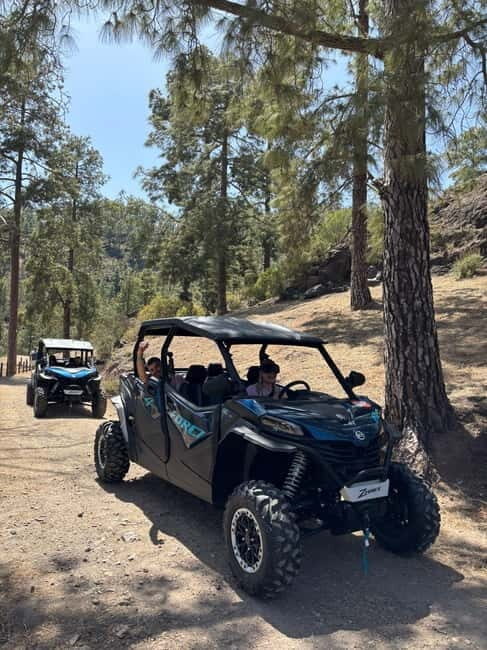 FAMILY FUN MONSTER BUGGY TOUR - Who Will Love This Tour?