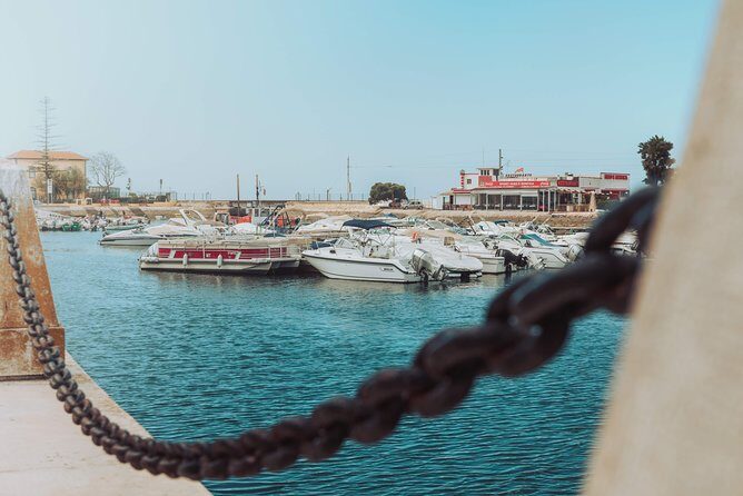 Faro Walking Tour: Uncover the Citys Architectural Legacy - What’s Included and Practical Tips
