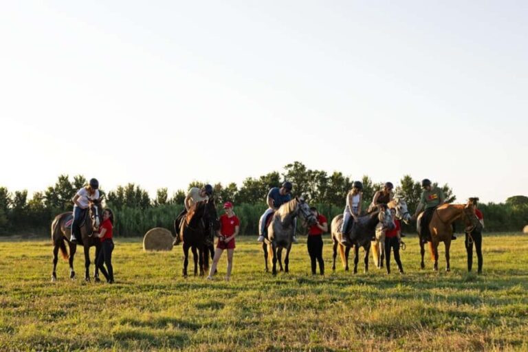 Fazana: Sunset 1-hour Horse Riding in Nature with Guide - The Horses and the Guides