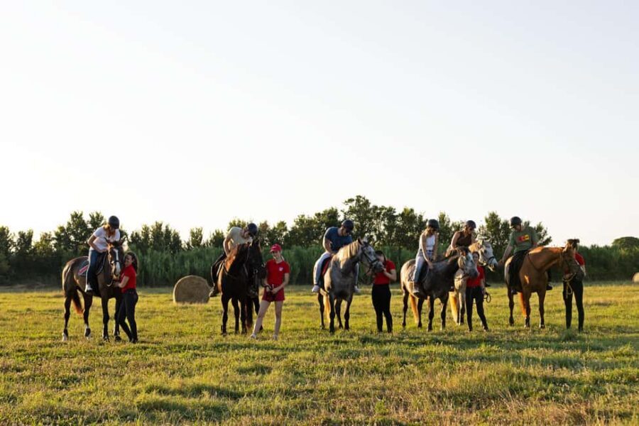 Fazana: Sunset 1-hour Horse Riding in Nature with Guide