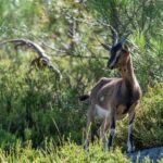 Fisgas de Ermelo Trail - Who Is This Tour Best For?