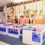 Fish Spa Experience Playa Fañabe - A Deep Dive into the Fish Spa Experience in Playa Fañabe
