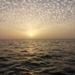 fishing charter 4h - Exploring Tenerife’s Coast from the Sea: What You Can Expect