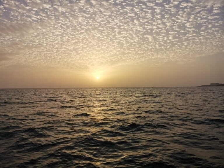 fishing charter 4h - Exploring Tenerife’s Coast from the Sea: What You Can Expect