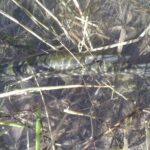 Fishing in Provence - Final Thoughts: Who Should Consider This Experience?
