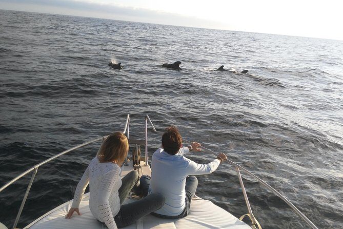 Fishing trip, Tenerife Sea Passion - Who Should Consider This Tour?