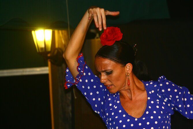 Flamenco and Grill evening on the banks of Lake Guadalmina - FAQ