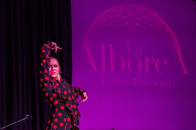 Flamenco in the Center of Granada - Detailed Breakdown of the Tour Experience