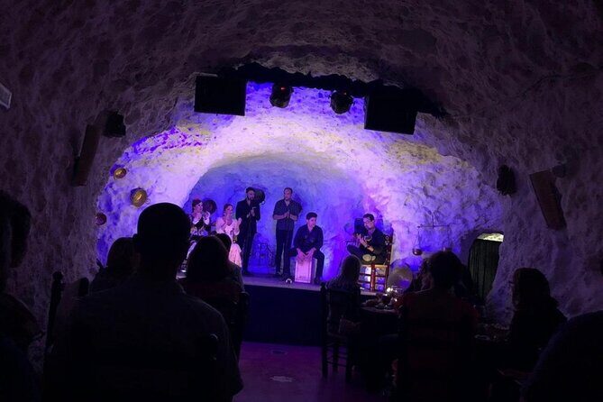Flamenco Show in a Cave Restaurant in Granada - Who Should Consider This Tour?