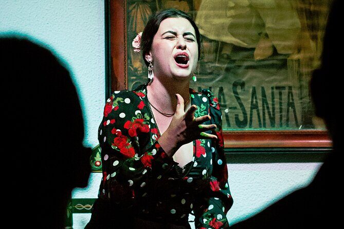 Flamenco Show in Seville - La milonga tablao - A Deep Dive into the Flamenco Experience at La Milonga