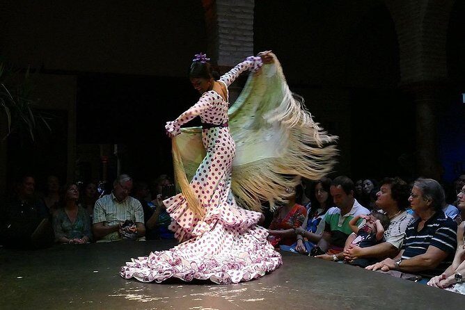 Flamenco Show "Museo de Baile Flamenco" - Who Will Love This Tour?