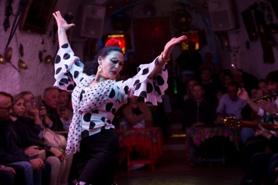 Flamenco Show: Zambra in Cuevas del Sacromonte - Who Will Appreciate This Tour?