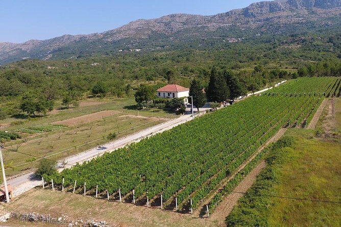 Flavours of Konavle: Wine, Food & Village Life Experience - A Highlight: The Viewpoint at Plat