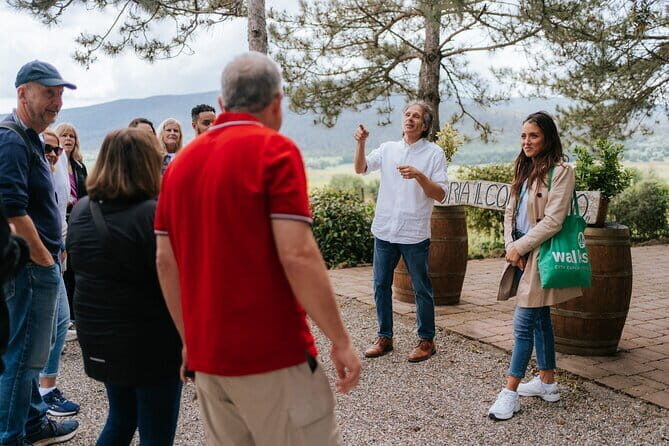 Florence to Tuscany: Chianti, Siena, San Gimignano & Wine + Lunch - Who Should Consider This Tour?