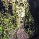 Folhadal Hidden Treasures Running Tour (Moderate) - A Deep Dive into the Folhadal Hidden Treasures Running Tour