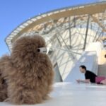 Fondation Louis Vuitton: Ticket Entry & Private Tour - Final Thoughts: Who Should Consider This Tour?