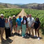 Food & Wine Tour: 11- Course Lunch, Cooking Class, Wine Tasting - Who Should Consider This Tour?