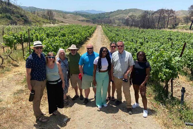 Food & Wine Tour: 11- Course Lunch, Cooking Class, Wine Tasting - Who Should Consider This Tour?