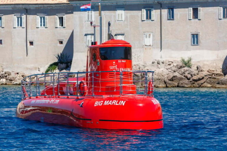 For Families: 45-minute Semi-submarine tours with a mermaid - The Underwater Cabin and Sculptures