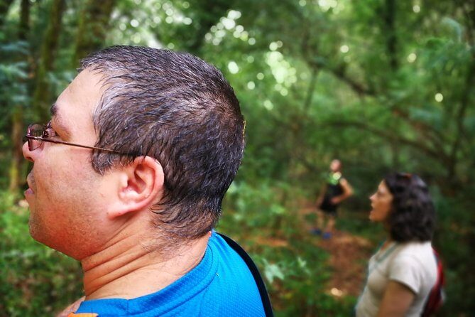 Forest Baths - Shinrin Yoku Therapeutic, in Celtic sacred forests - Who Will Love This Tour?