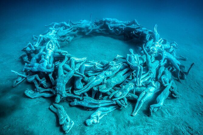 Freediving at Museum Atlantico - Why This Tour Offers Good Value