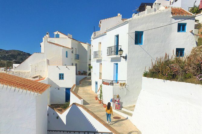 Frigiliana Small-Group Hike and Wine Tasting Tour from Malaga - Authentic Perspectives from Travelers