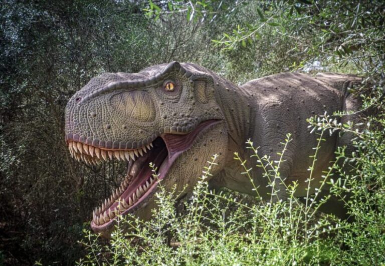 From Alcúdia: Dinosaurland and Hams' Caves Half-Day Trip - Visiting Mallorca’s Prehistoric and Natural Marvels: A Detailed Review