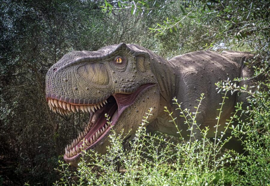 From Alcúdia: Dinosaurland and Hams' Caves Half-Day Trip - Visiting Mallorca’s Prehistoric and Natural Marvels: A Detailed Review