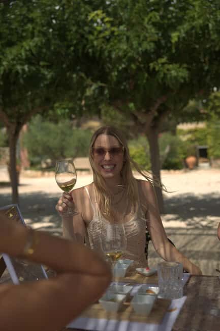 From Alicante: 2 Premium Wine Tastings and Tapas - Who Will Love This Tour?