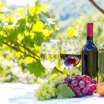 From Alicante: 3 Generation Family Owned Winery  4 testings - Why This Tour Works for You