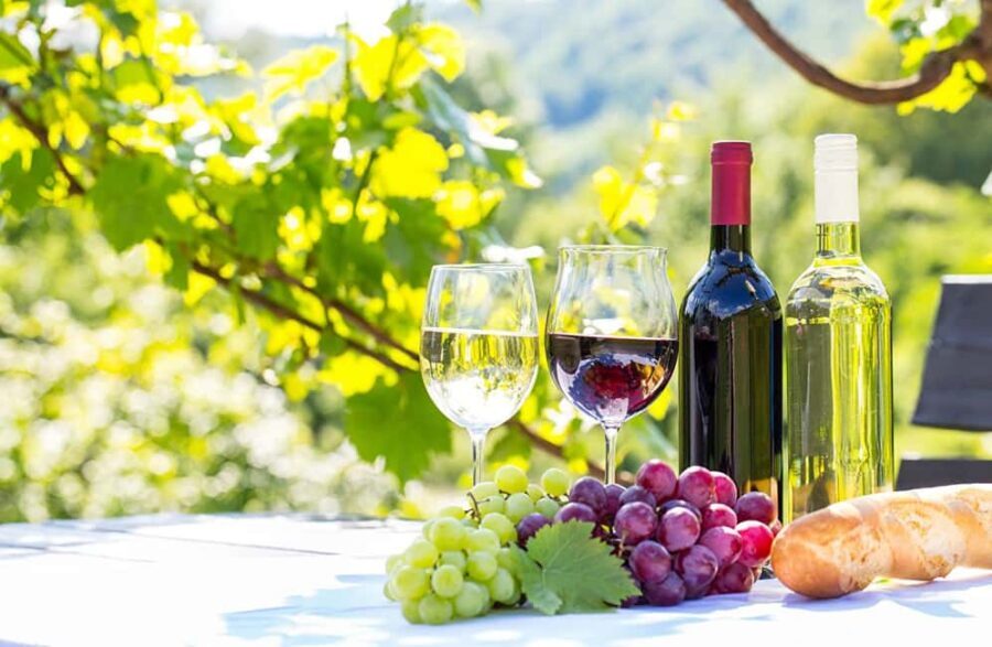 From Alicante: 3 Generation Family Owned Winery  4 testings - Why This Tour Works for You