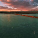 From Alicante/Benidorm: Tabarca Island & Santa Pola Salinas - Deep Dive into the Value